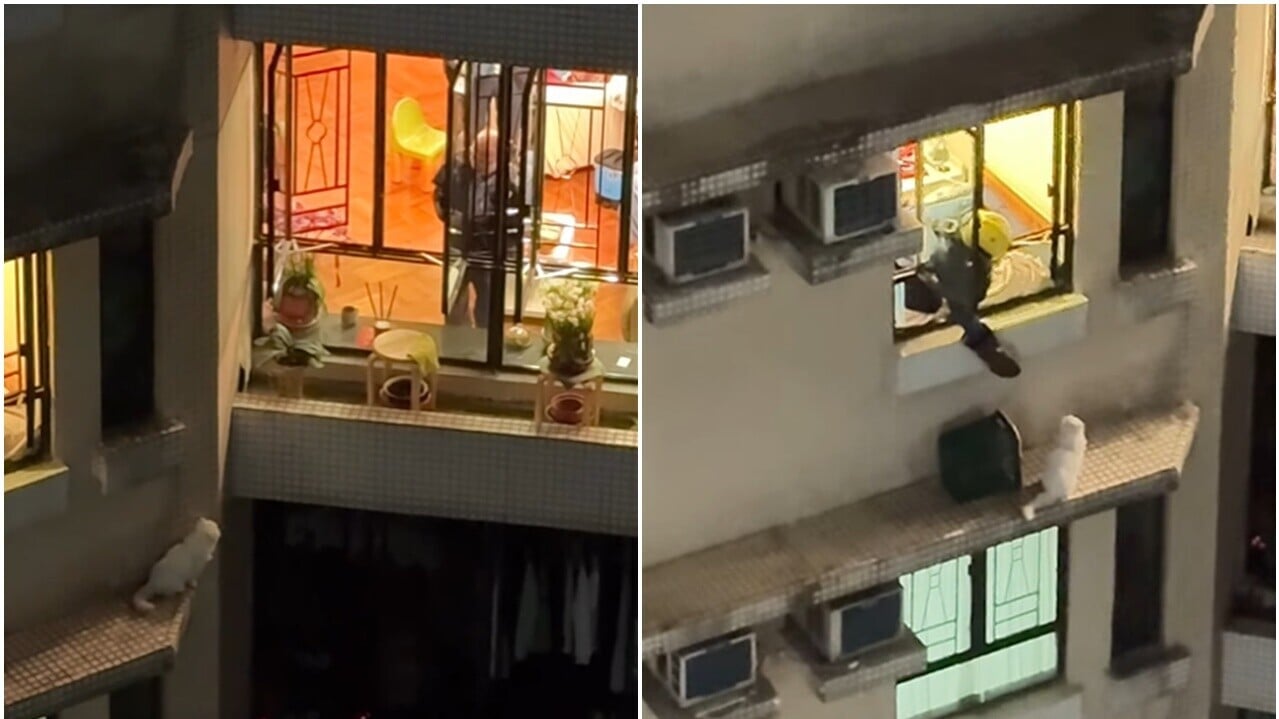 @fb  Kelvin Kwong 影片截圖