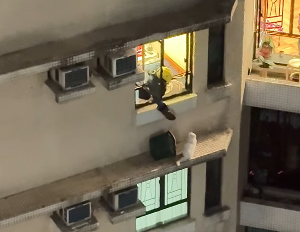 @fb Kelvin Kwong 影片截圖