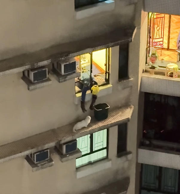 @fb Kelvin Kwong 影片截圖