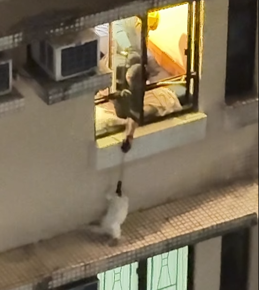 @fb Kelvin Kwong 影片截圖