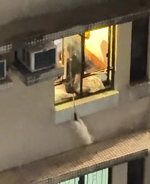 @fb Kelvin Kwong 影片截圖