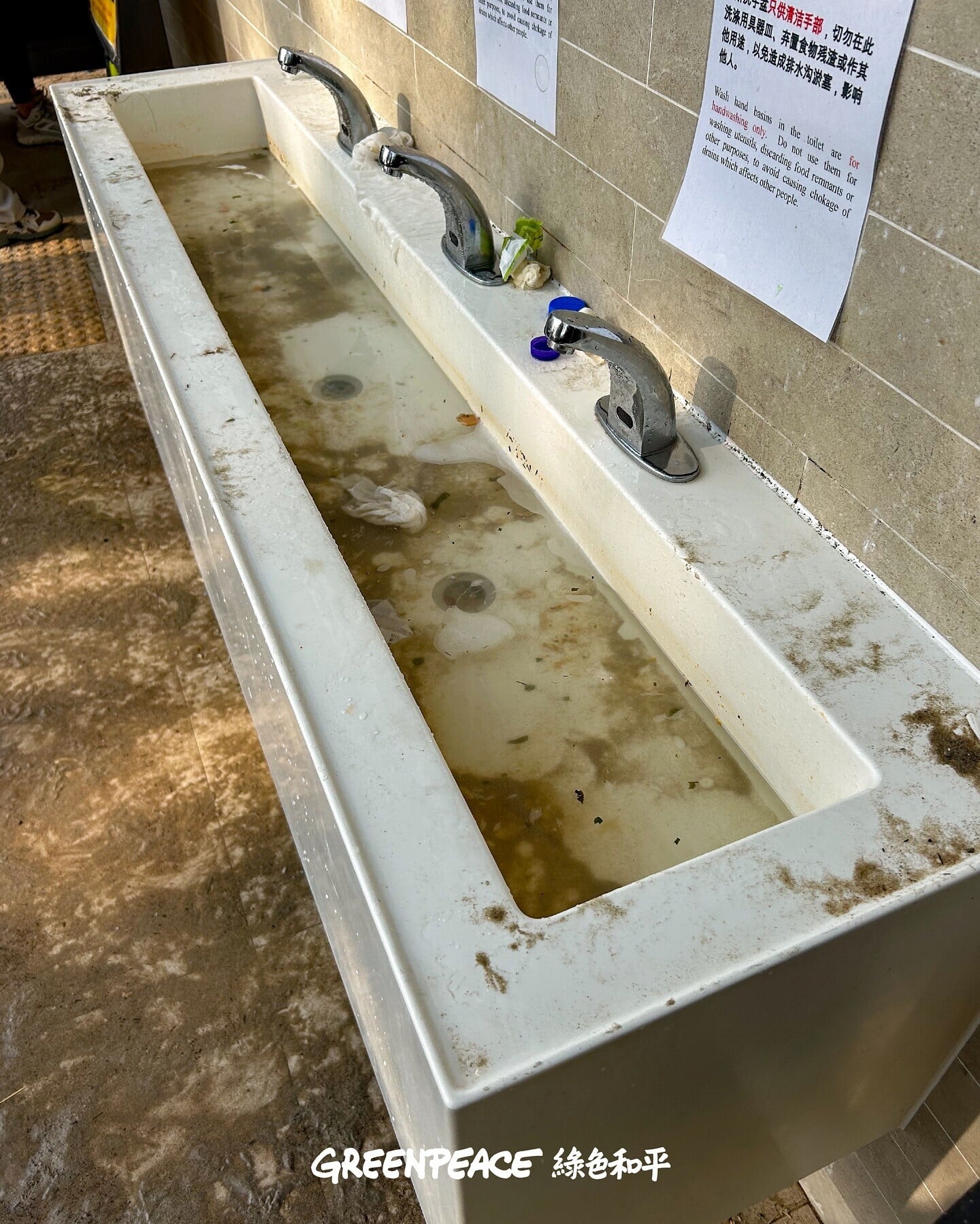 現場環境髒亂。(綠色和平提供)