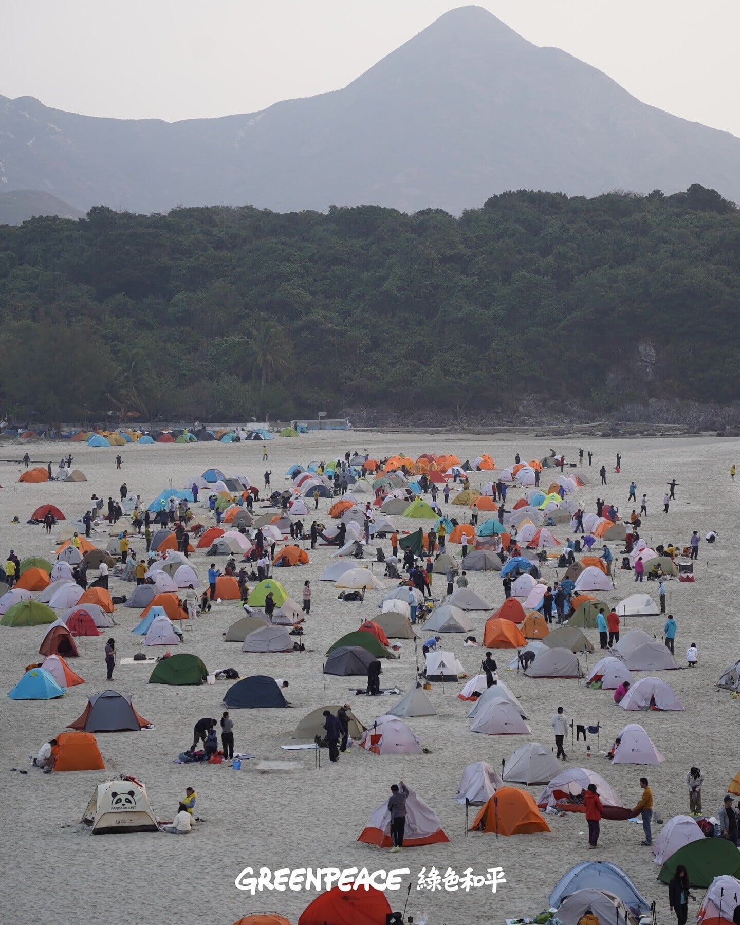 營帳數目遠超官方建議數目。(綠色和平提供)