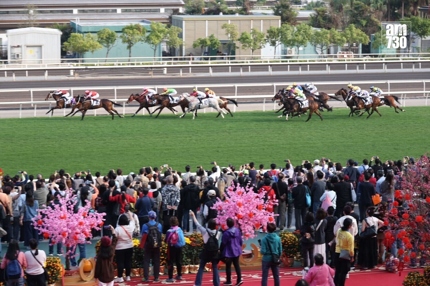 馬年賽馬日。(周令知攝)