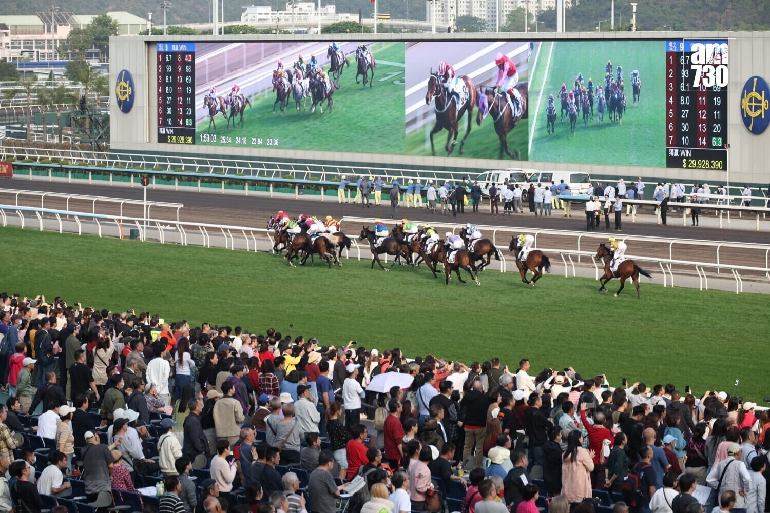 馬年賽馬日。(周令知攝)