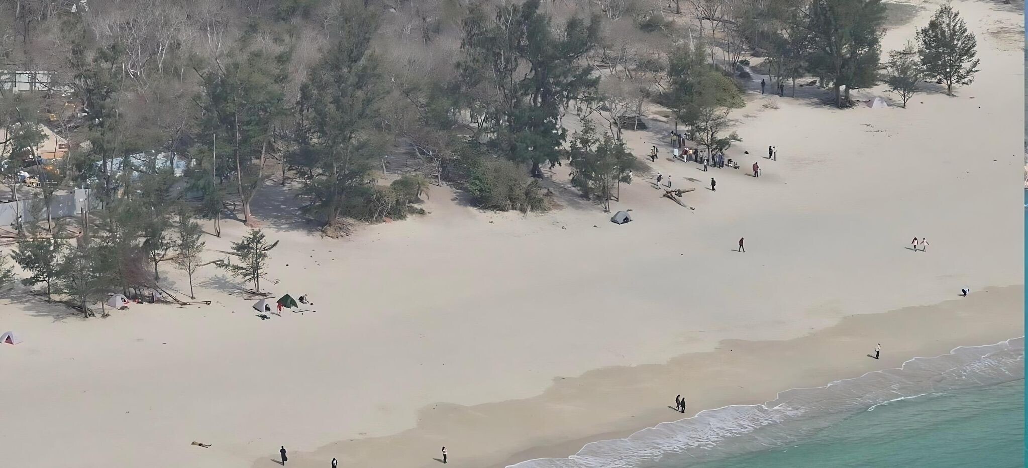 漁護署指整體情況屬可控。(漁護署FB)