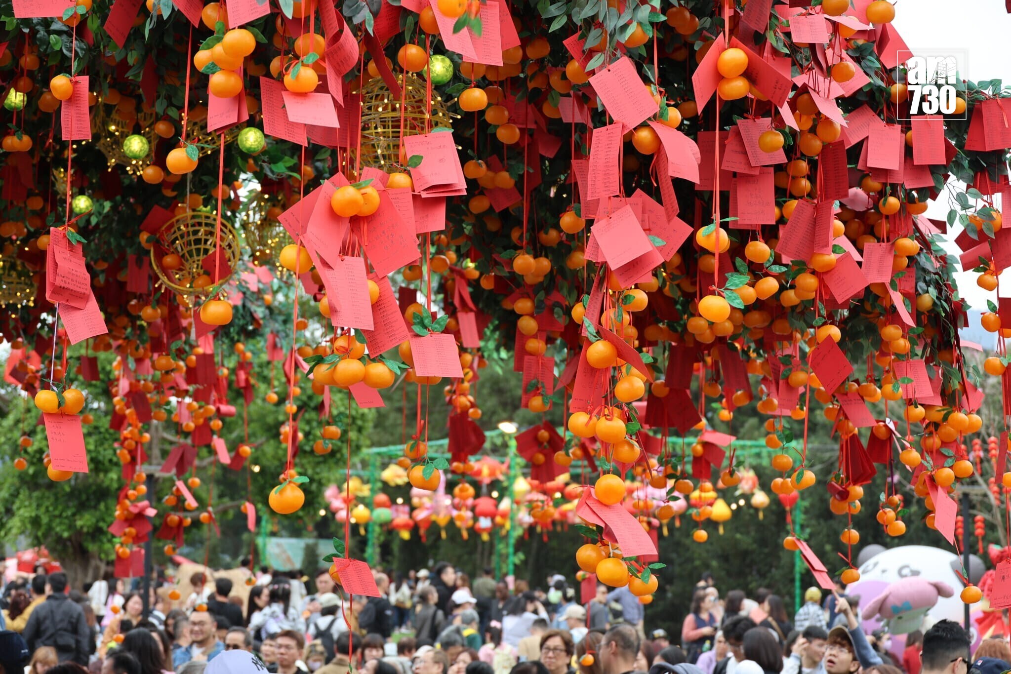 大埔林村。(鍾式明攝)