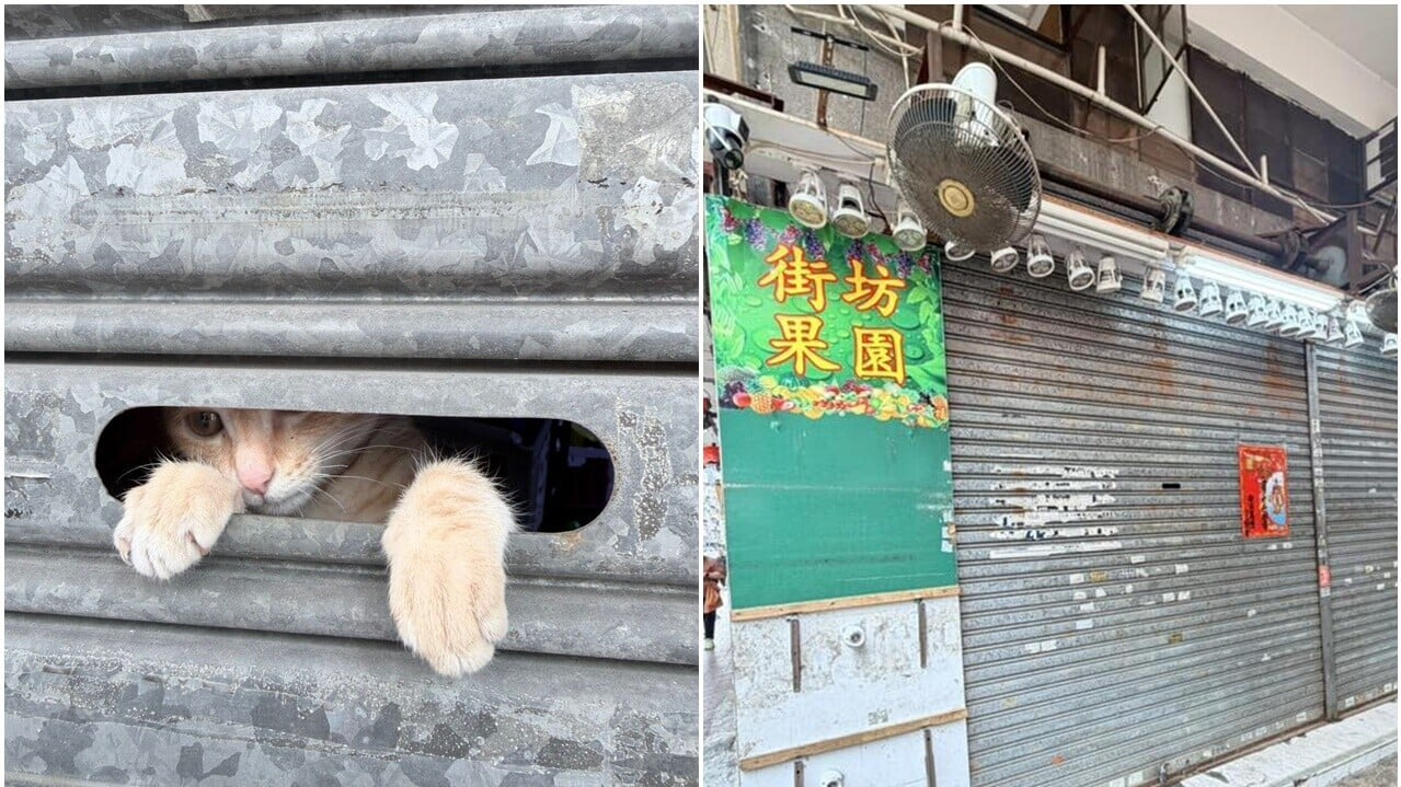 @threads/lnamnam2009 圖片