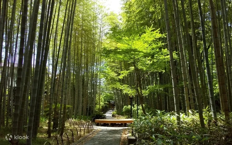 Mrlm7lmh219a484b7xdh