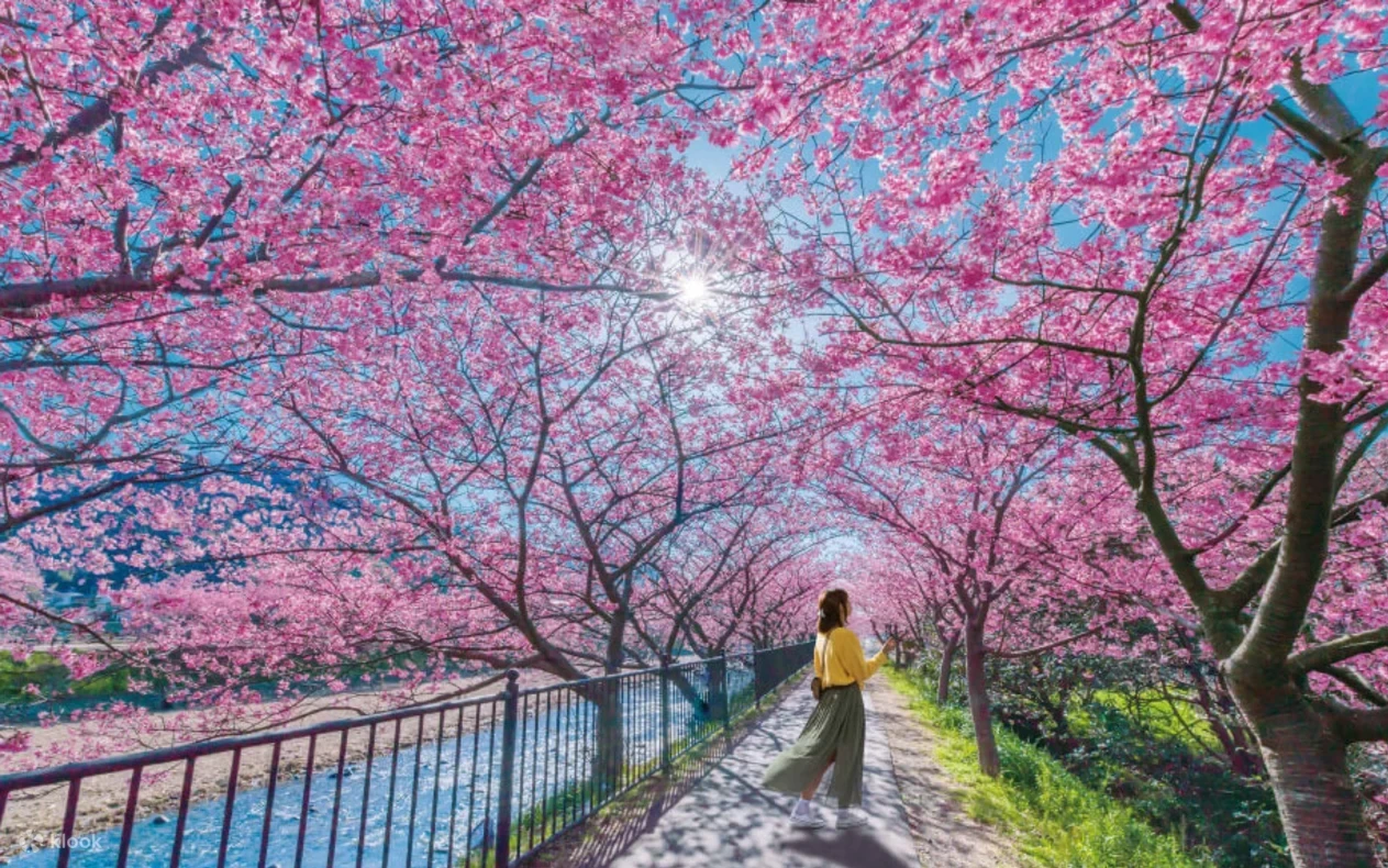 Mhwzur3cesv8rme02m2e