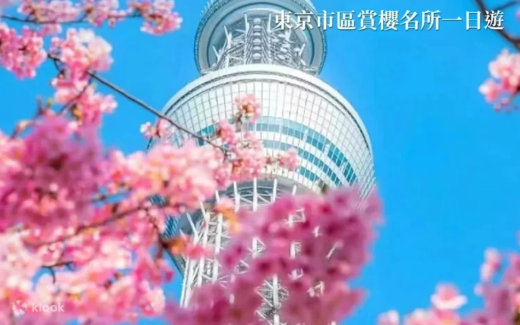 Zmohvlonmn36wyug54nq