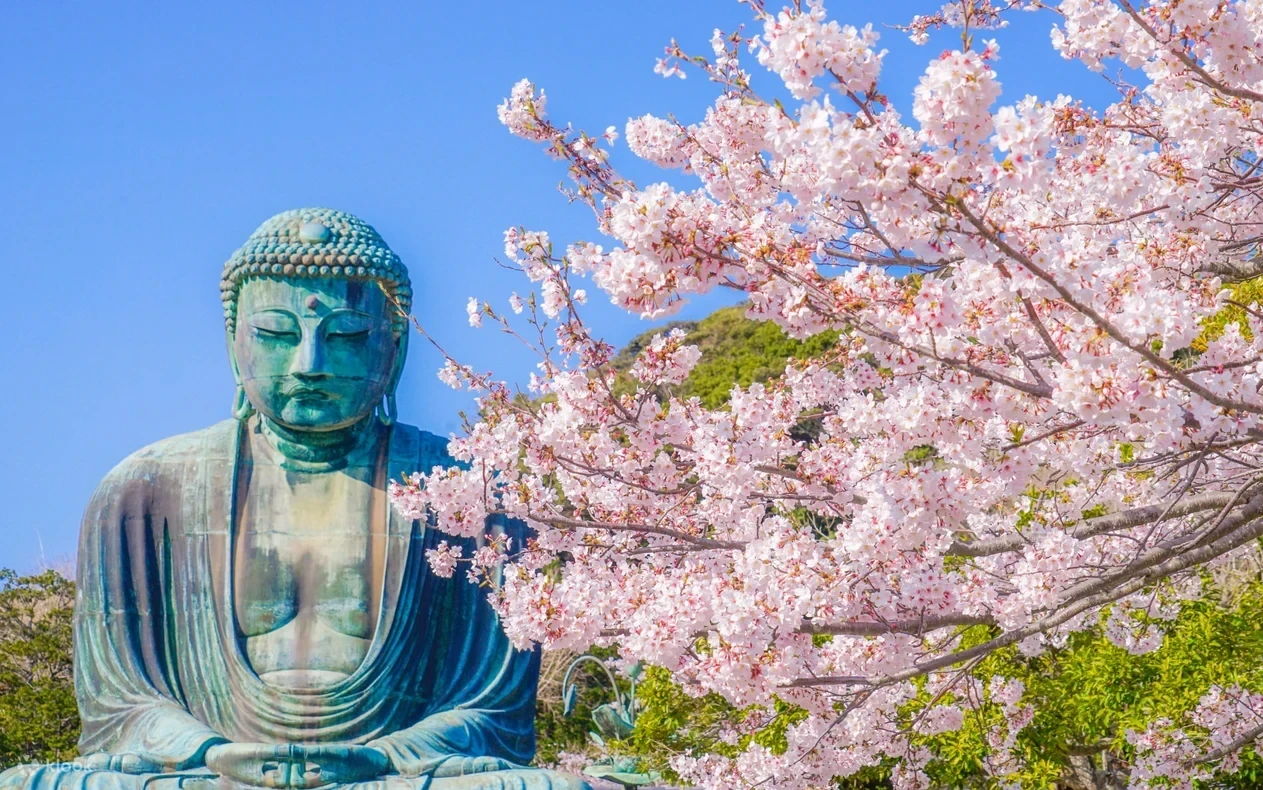 Ok9tmfzfdbcubchjyw5z