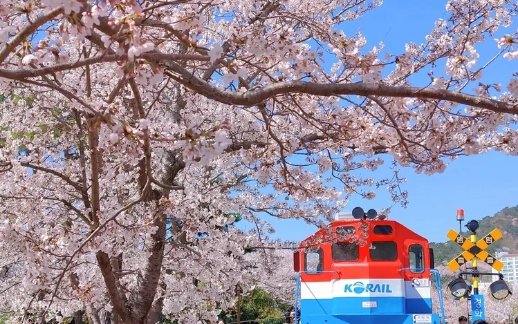 Mimnsusyo8w0btbtsfhe