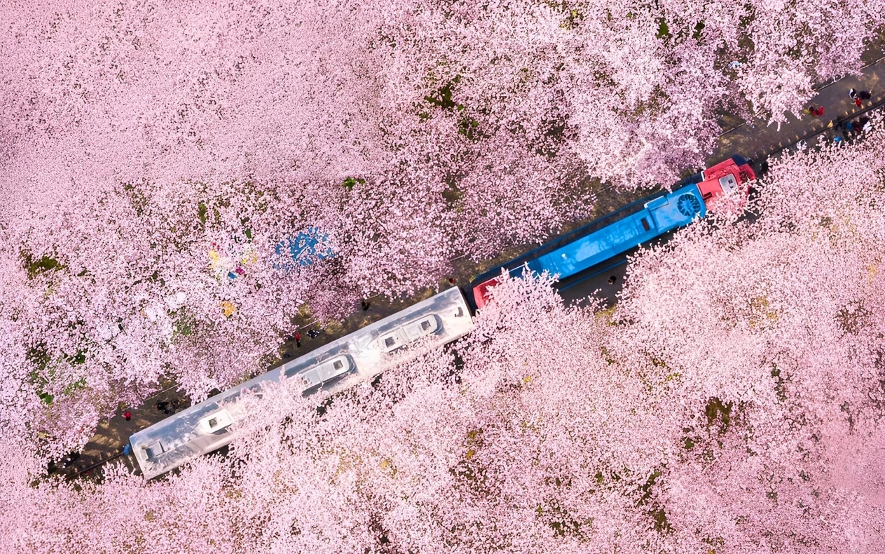 Epocsylb9movazcxdac4