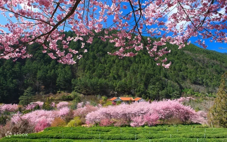 Bylpxxxu7ikhpwui922z