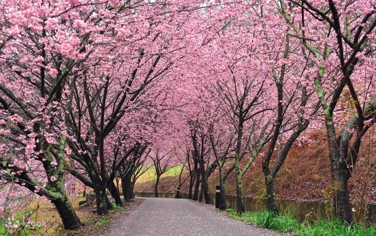 Xtyg11znckpbkeao2xq0