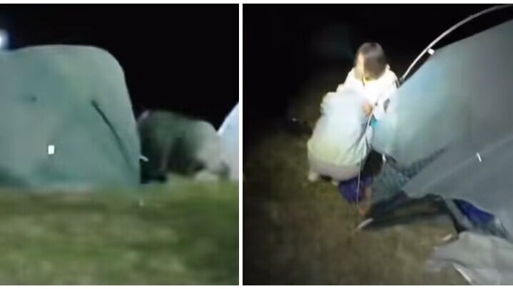 一隻野豬於黑夜闖入營地直衝帳篷將其撞翻，在場人士受驚以普通話驚呼，其中一名女子蹲地痛哭。(香港突發事故報料區2.0)