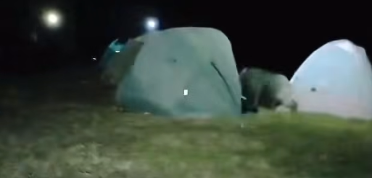 一隻野豬於黑夜闖入營地直衝帳篷將其撞翻,在場人士受驚以普通話驚呼,其中一名女子蹲地痛哭。(香港突發事故報料區2.0)