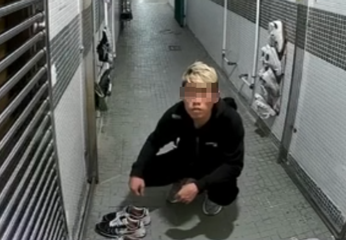 屋主又提供近日被邨內街坊拍攝到的疑似偷鞋賊犯案過程(真.屯門友FACEBOOK)