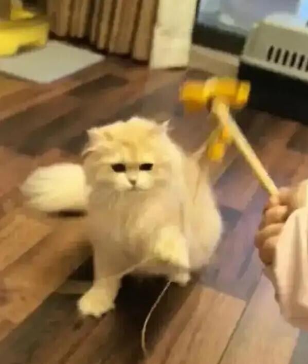 8c2cbd8f fcd8 418b a147 a46a83311488