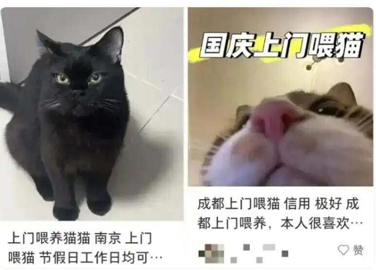 Cut 1771571238 oev8cZ0