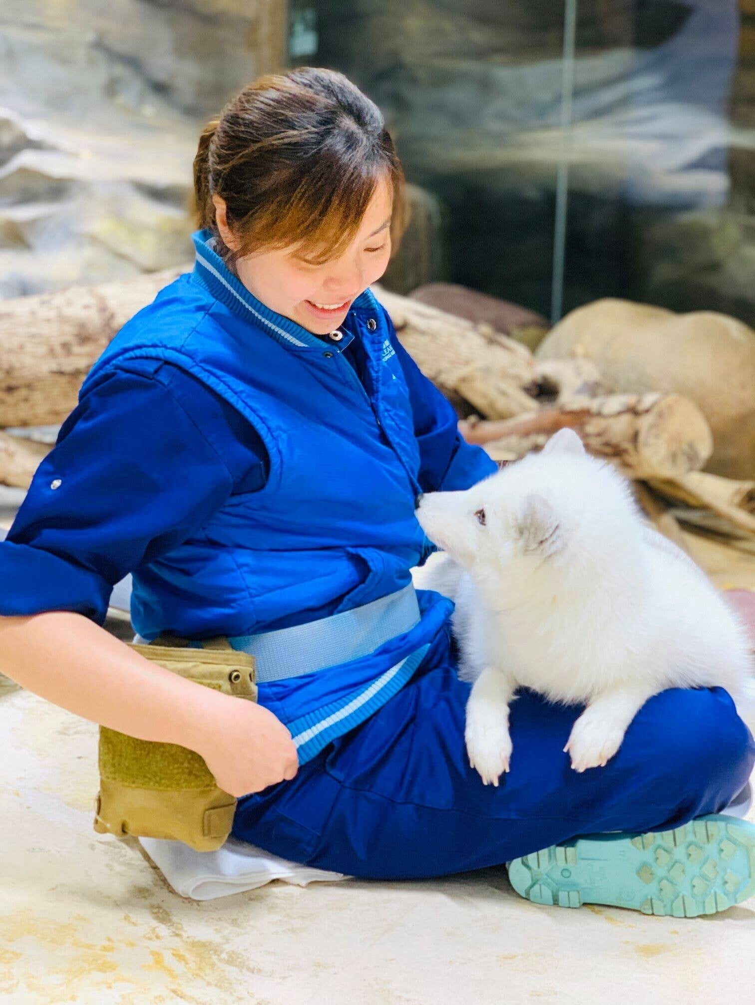 海洋公園兩隻北極狐「小高」及「Trinity」離世(海洋公園圖片)