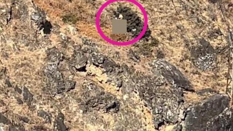 行山意外｜8歲童於雲南虎跳峽失足墜崖亡 同行父親哭斷腸（網易）