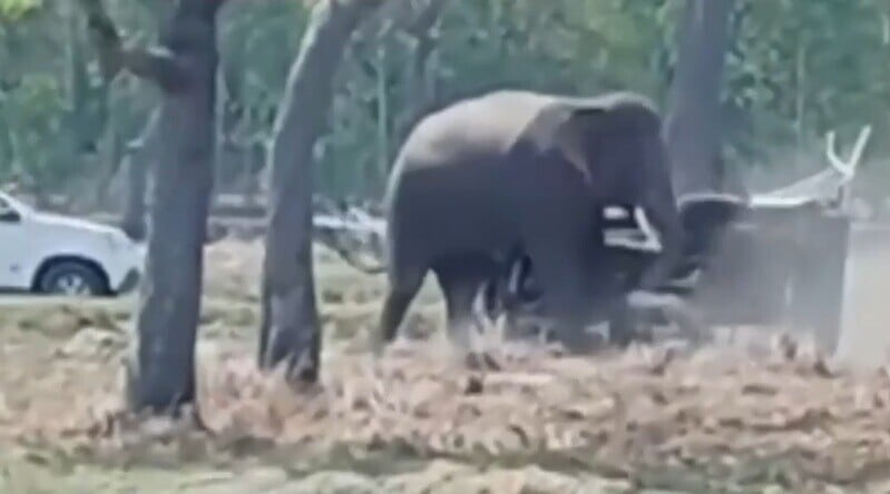 大象撞翻現場2輛汽車,更撞損多個道路指示牌,又追趕附近的村民。(YouTube)