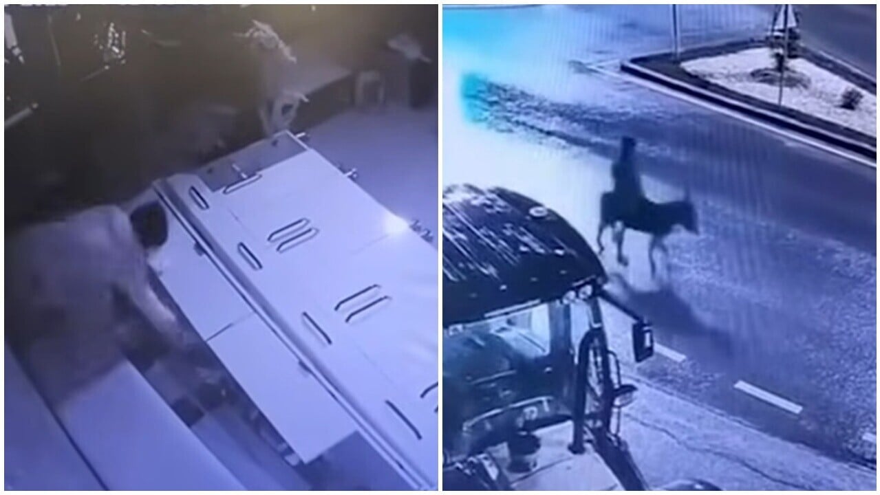 騎呢賊人駕叉車撞珠寶店，回程騎驢逃逸。(YouTube)