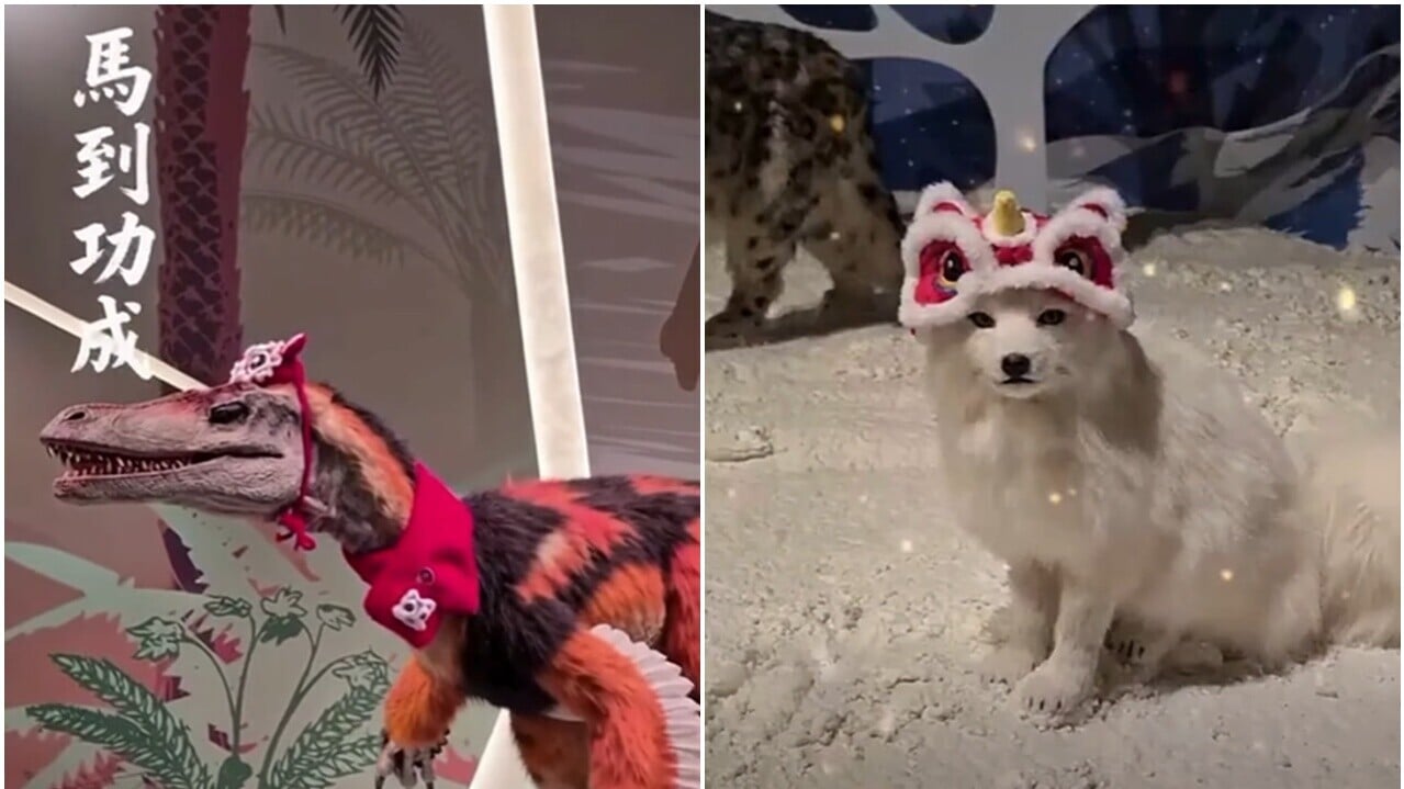 @fb 香港科學館 Hong Kong Science Museum