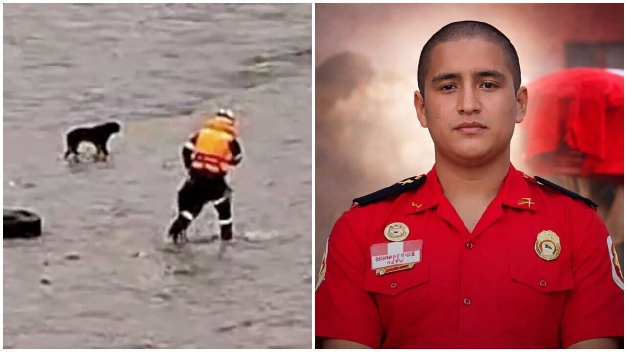 救援人員落河拯救被困狗狗，慘遭湍流沖走舉國傷痛。(X)