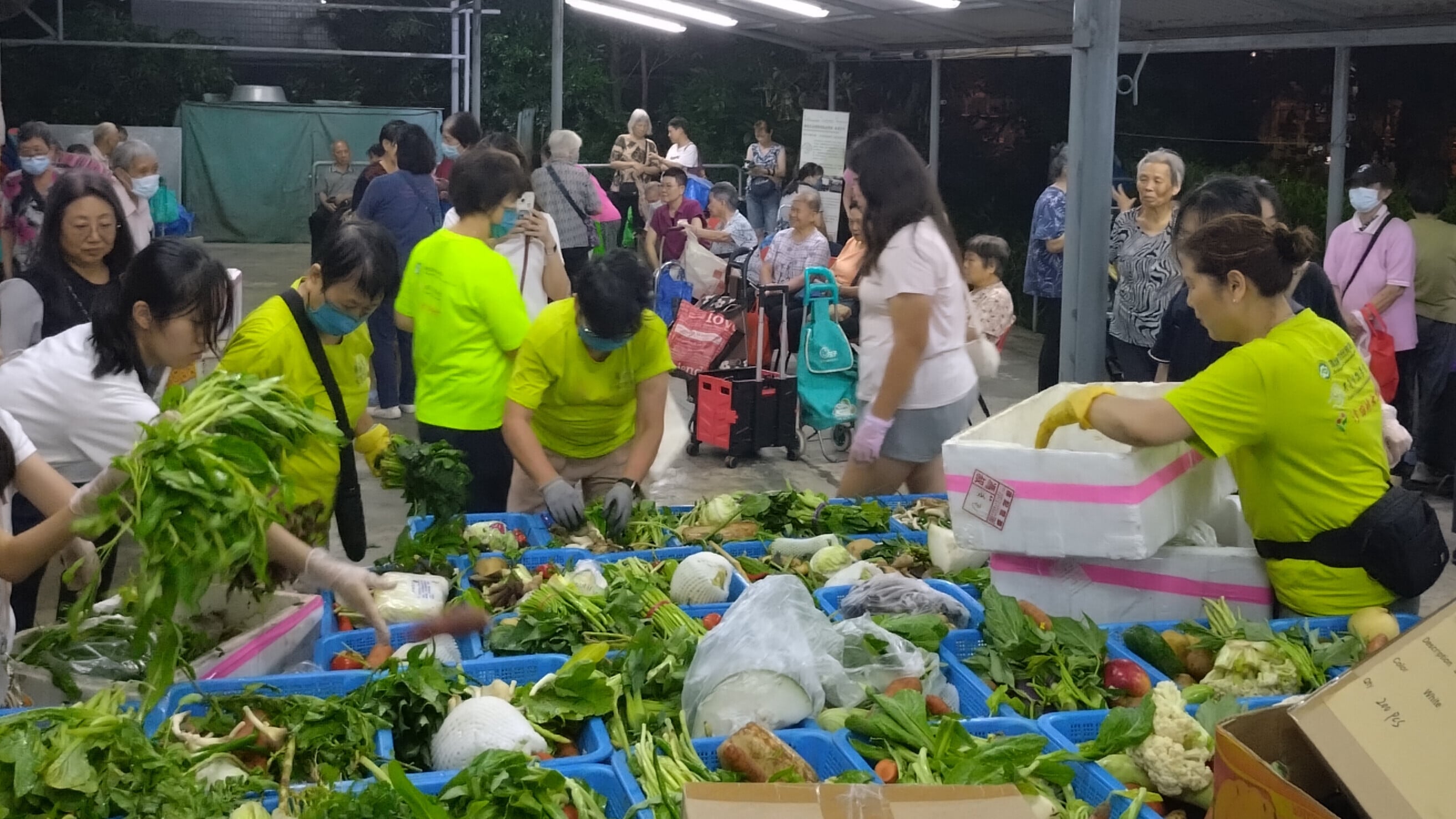 逾七成基層食物受惠者因服務終止壓力急升，共享食物基金籲關注民生支援。