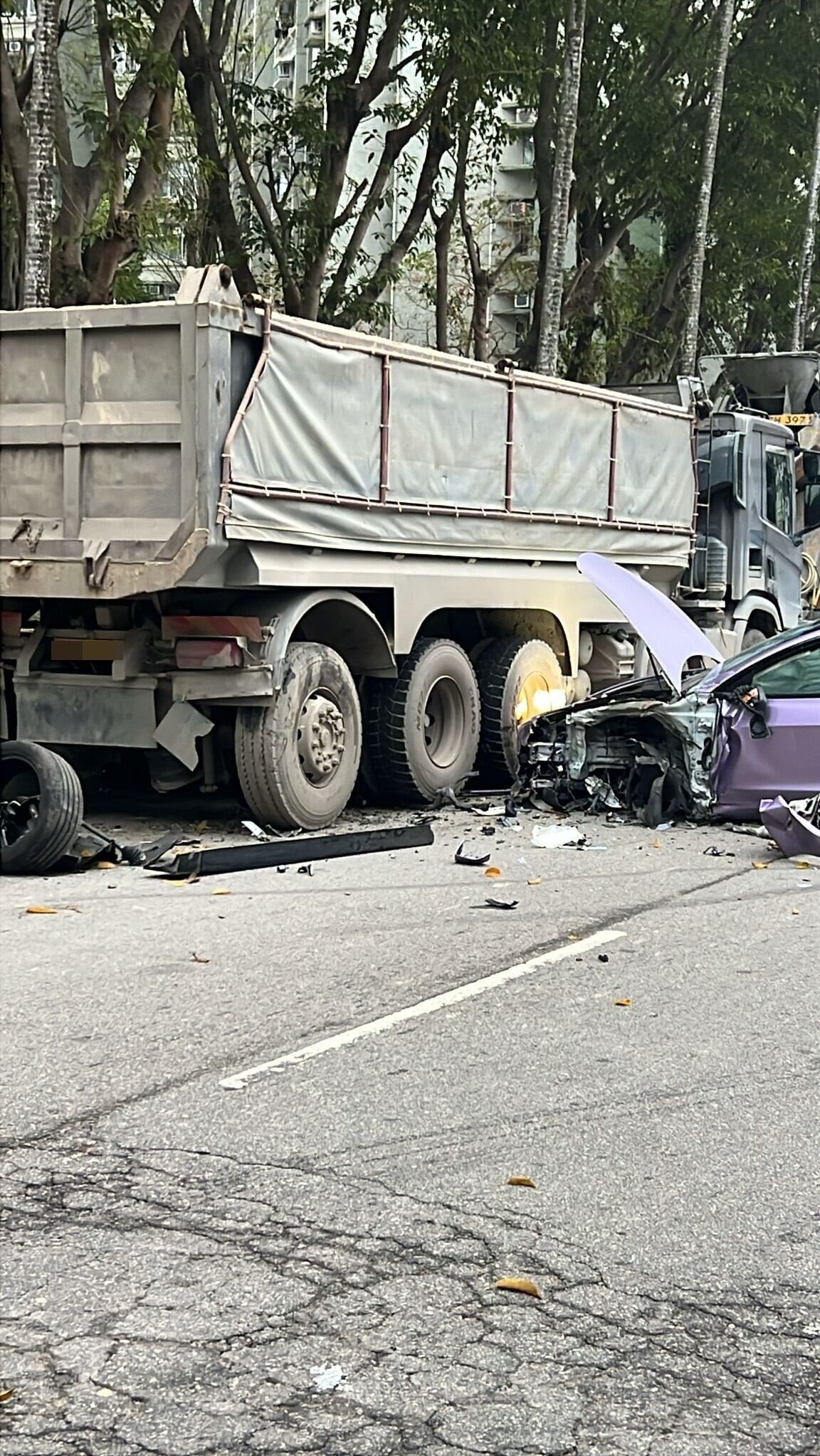 640532318 10240986269654266 7907362455017035868 n