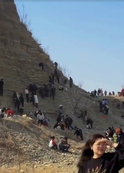 大批遊客趁春節來到,拿着剷子、鐵筆和螺絲批等工具敲打,甚至有人冒險站在山壁邊緣採挖化石,相當危險。(小紅書)