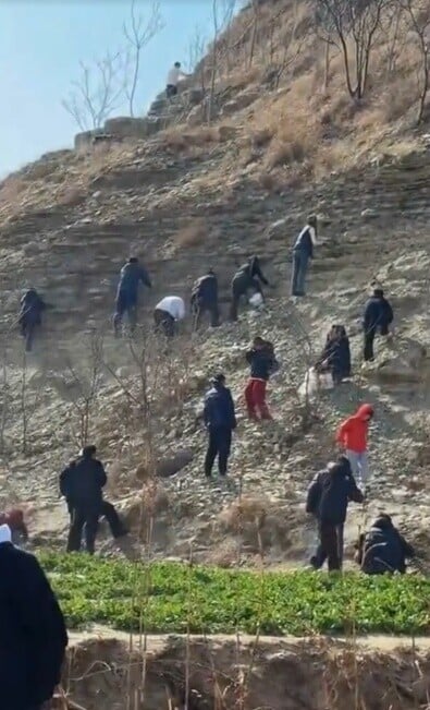 轄區派出所緊急封山:再去挖山就塌了。(小紅書)