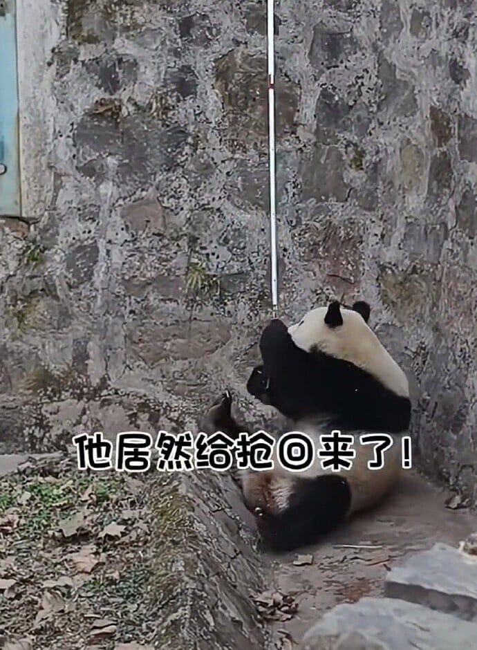 青靈眼明手快,彈起身搶回手機,之後蜷縮身體護住。(微博)