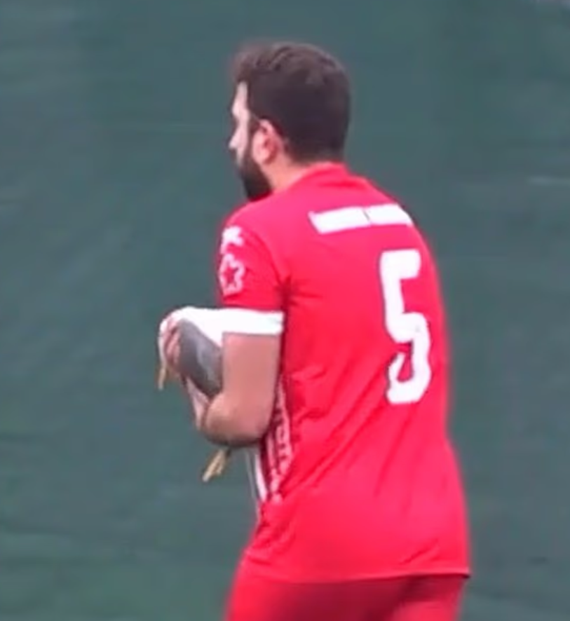 土耳其伊斯坦堡一場業餘足球比賽,一隻海鷗被開出的足球「擊落」掉至場上,球員即為牠進行心肺復甦術(CPR),最終成功挽救生命。(影片截圖)