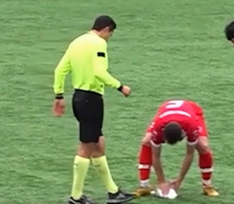 土耳其伊斯坦堡一場業餘足球比賽,一隻海鷗被開出的足球「擊落」掉至場上,球員即為牠進行心肺復甦術(CPR),最終成功挽救生命。(影片截圖)