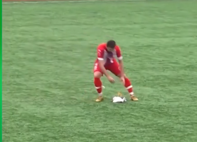 土耳其伊斯坦堡一場業餘足球比賽,一隻海鷗被開出的足球「擊落」掉至場上,球員即為牠進行心肺復甦術(CPR),最終成功挽救生命。(影片截圖)