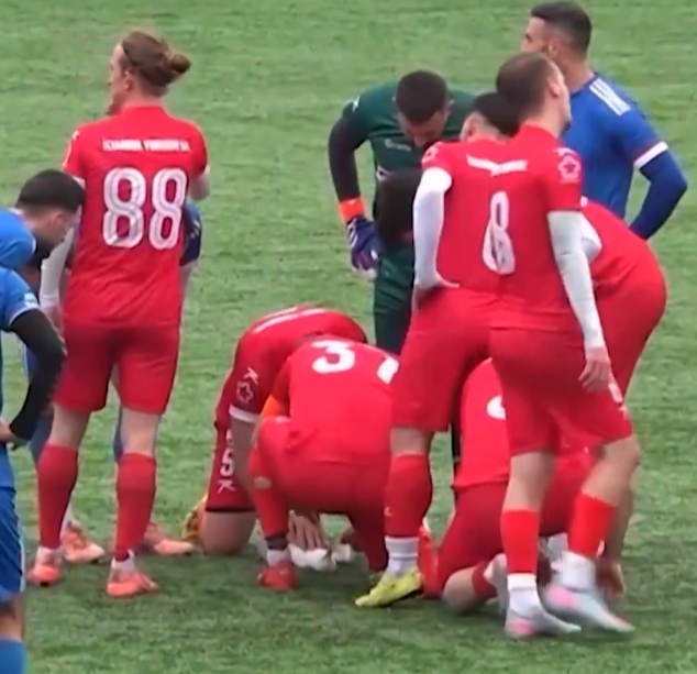 土耳其伊斯坦堡一場業餘足球比賽,一隻海鷗被開出的足球「擊落」掉至場上,球員即為牠進行心肺復甦術(CPR),最終成功挽救生命。(影片截圖)