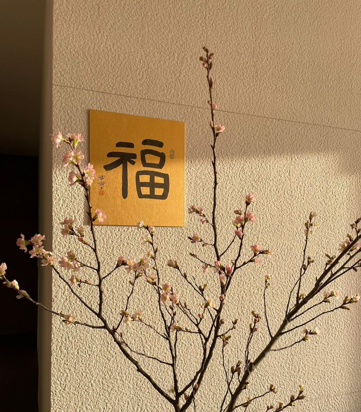 林海峰發文話因為失聲,22年來首次請病假