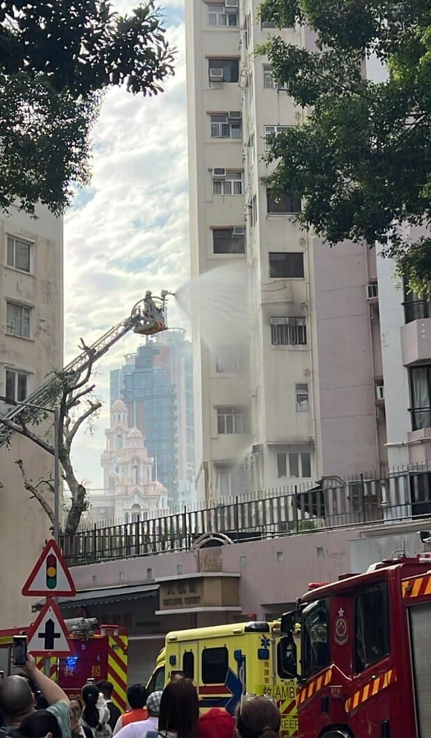 A2b85977 d5c2 4bb9 ab70 b40a012c037d