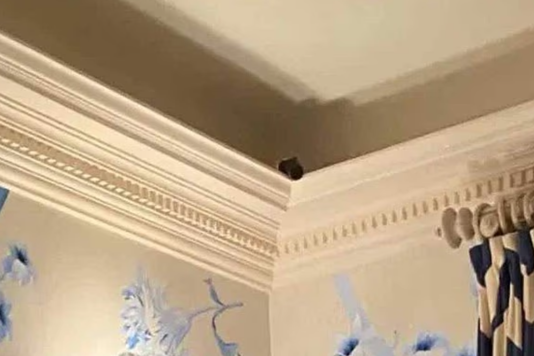 屋內藏有鏡頭。(互聯網)