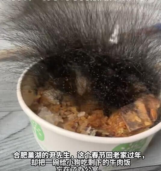 C37c107a f441 4868 bee9 594f23b125b7