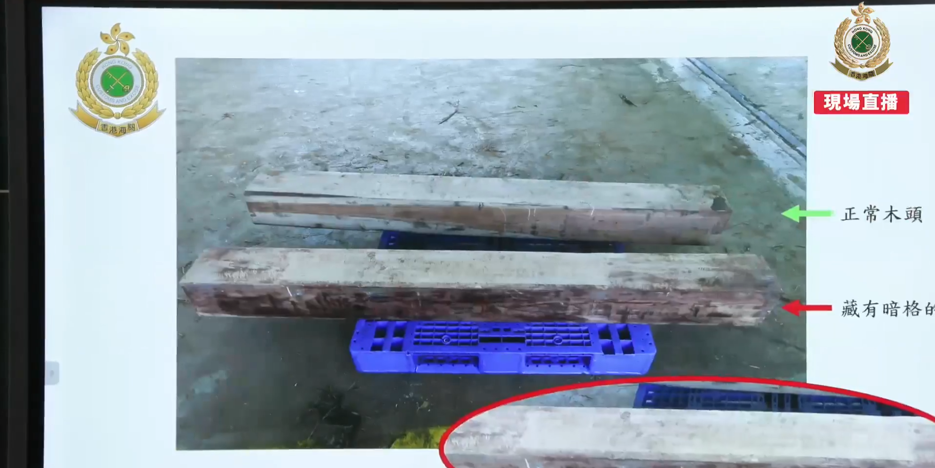 挖空原木藏2200萬元可卡因,海關揭中美洲海運貨櫃藏毒拘4男。(香港海關直擂截圖)