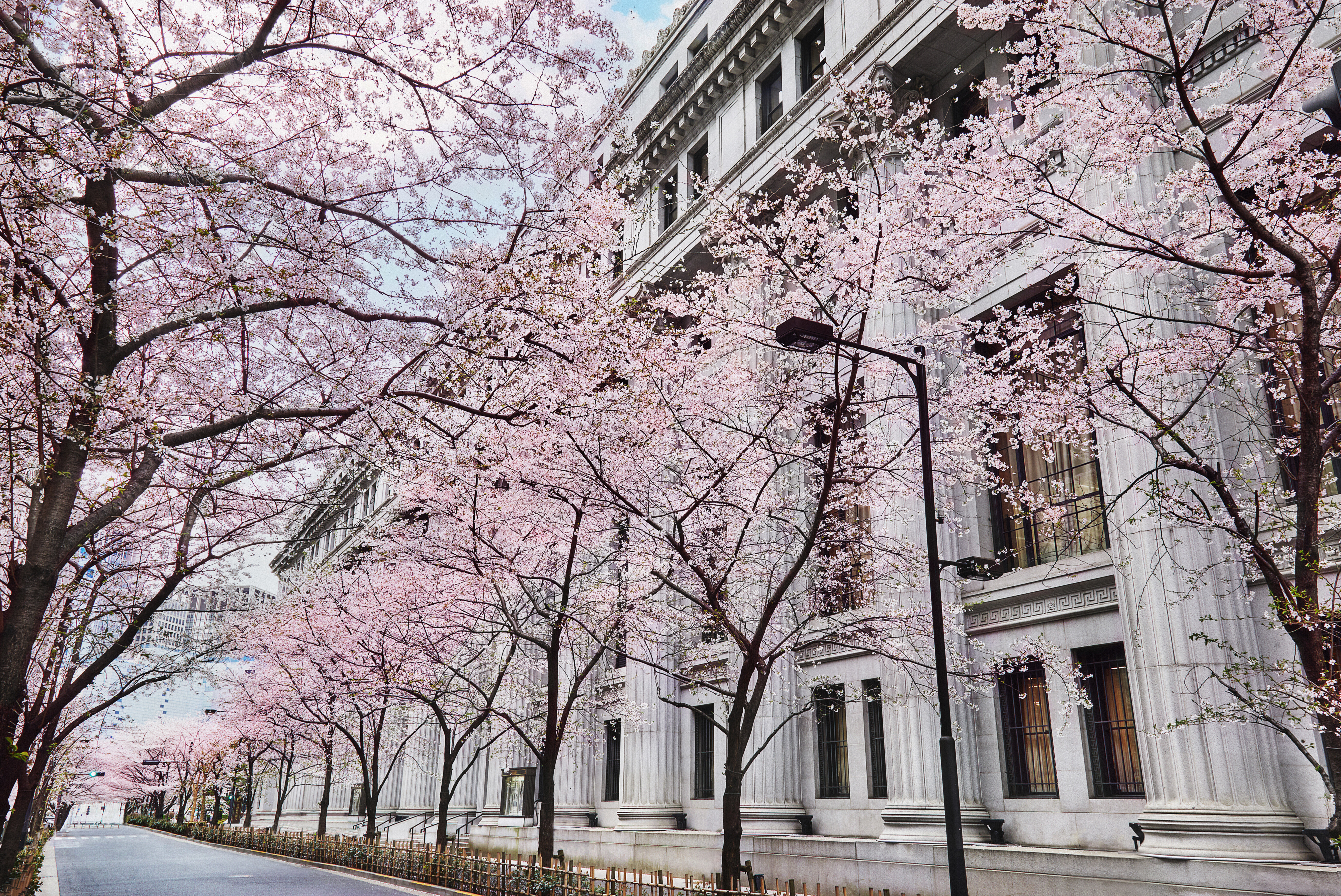 MOTYO Sakura Exterior2