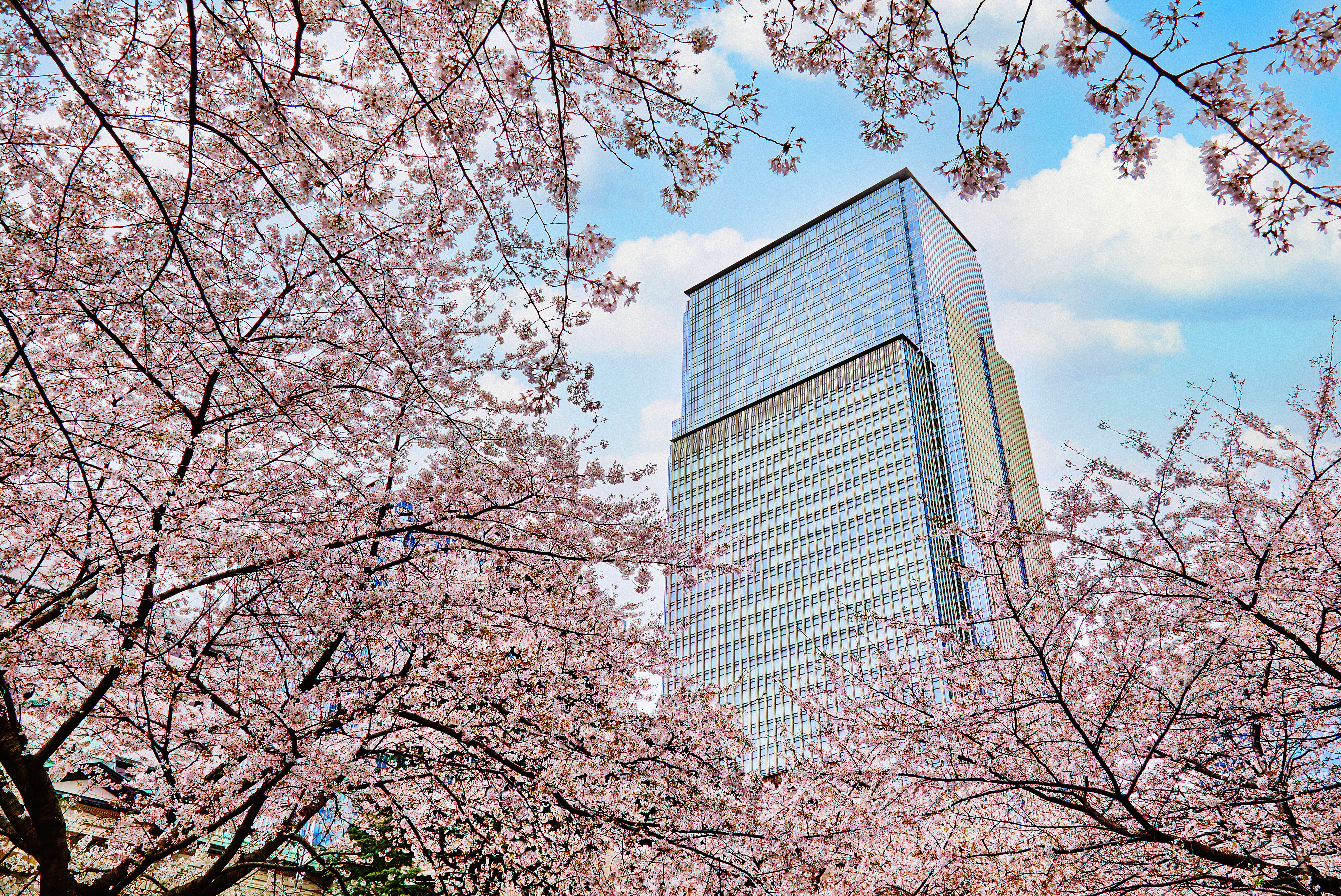 MOTYO Sakura Exterior