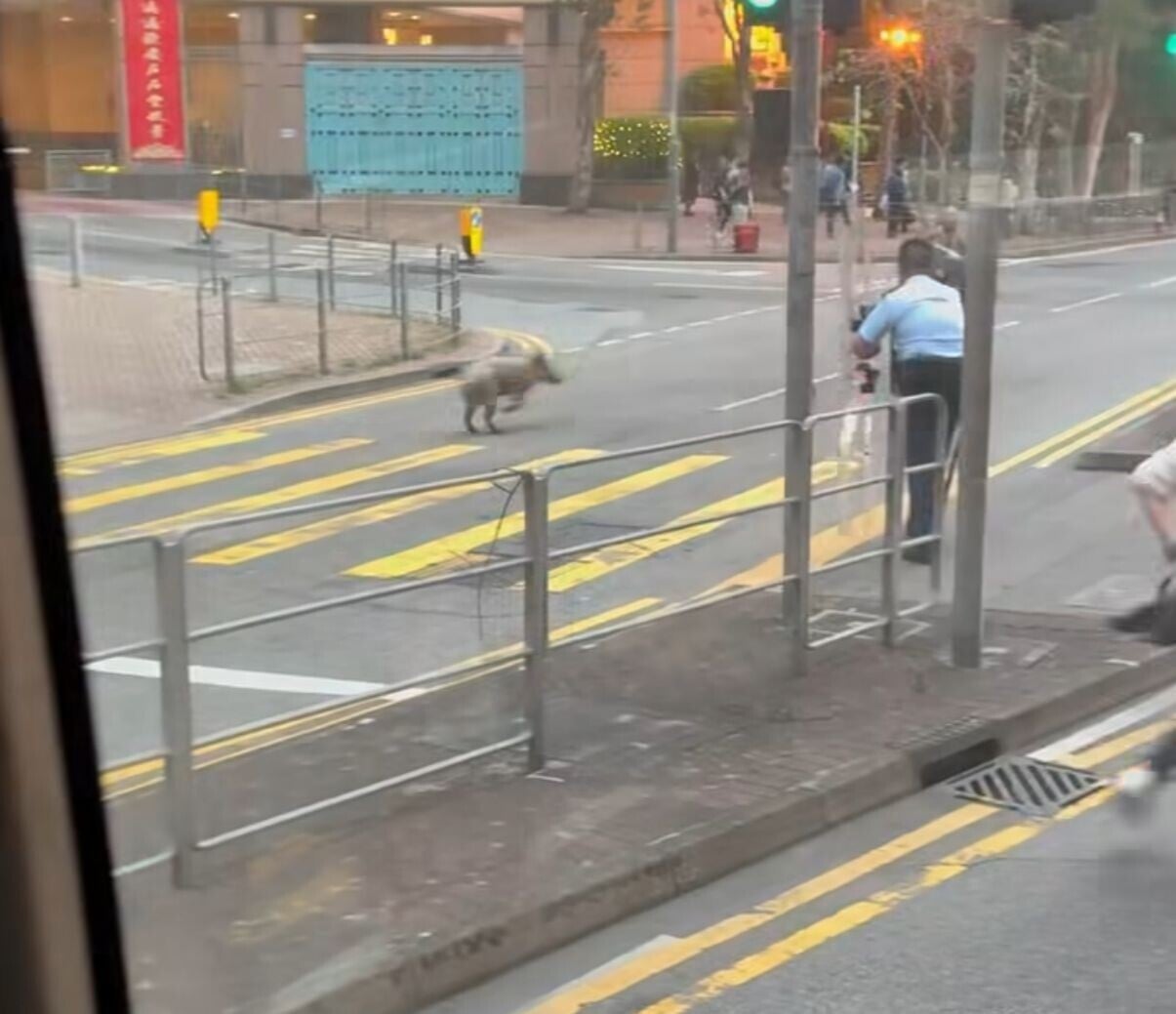 警方於烏溪沙展開捕捉野豬行動(Threads)