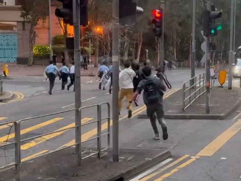 影片可見野豬衝出街道,多名警員及記者在馬路追趕(Threads)