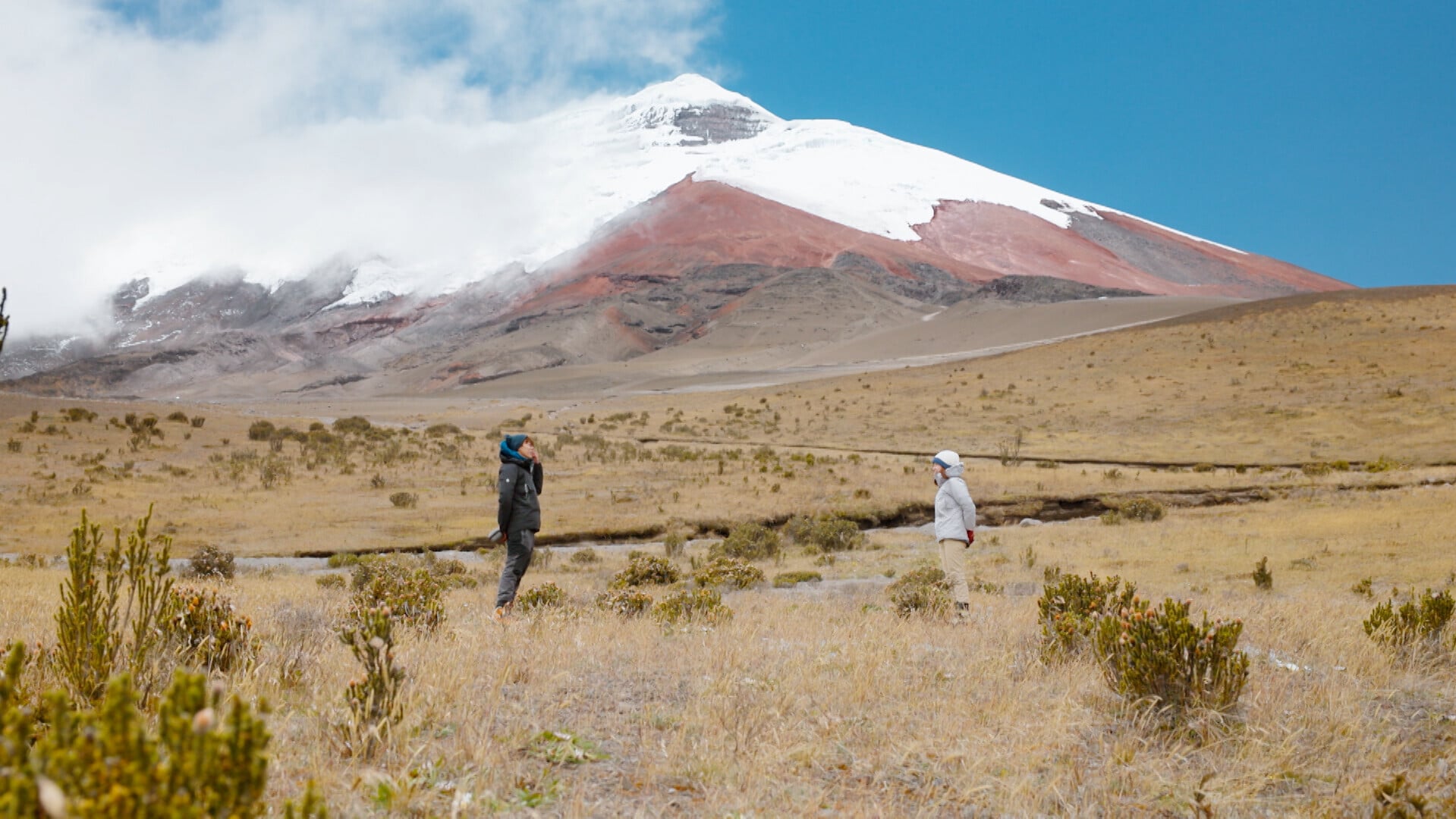 Marco終於向Tracy正式表白